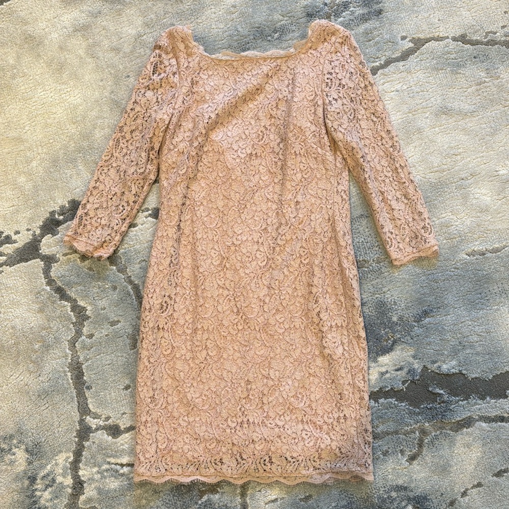 Adrianna Papell Blush Lace Dress Sz 2P